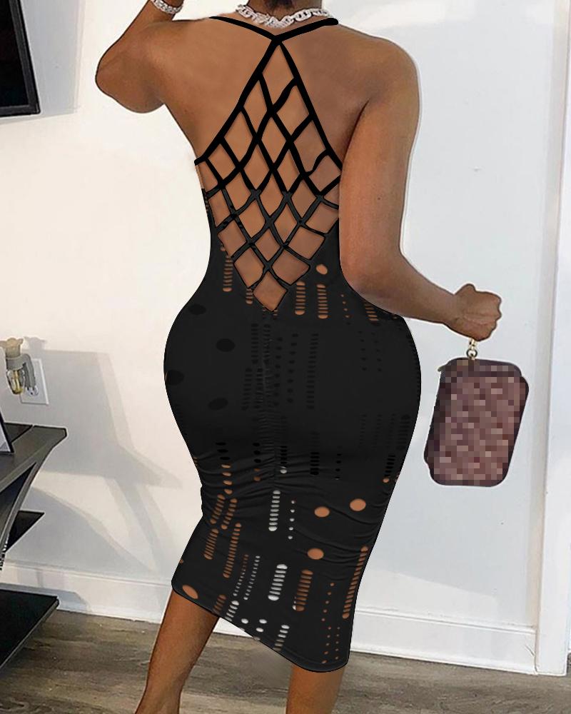Fish Net